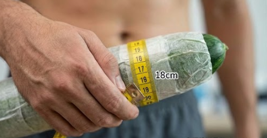 男人的長度與尊嚴：專業藥師解析陰莖海綿體二次發育的可能性與保養指引